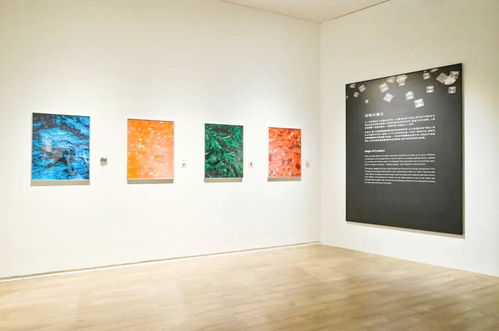 奇觀 科學藝術展在光明文化藝術中心美術館開幕